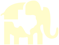 Republican Party of Texas